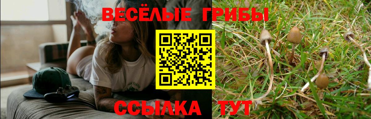 Саки  Галлюциногенные грибы Psilocybe  Вход с VPN 